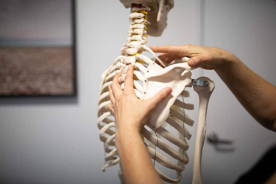 join-us-tarragindi-allied-health-treatment